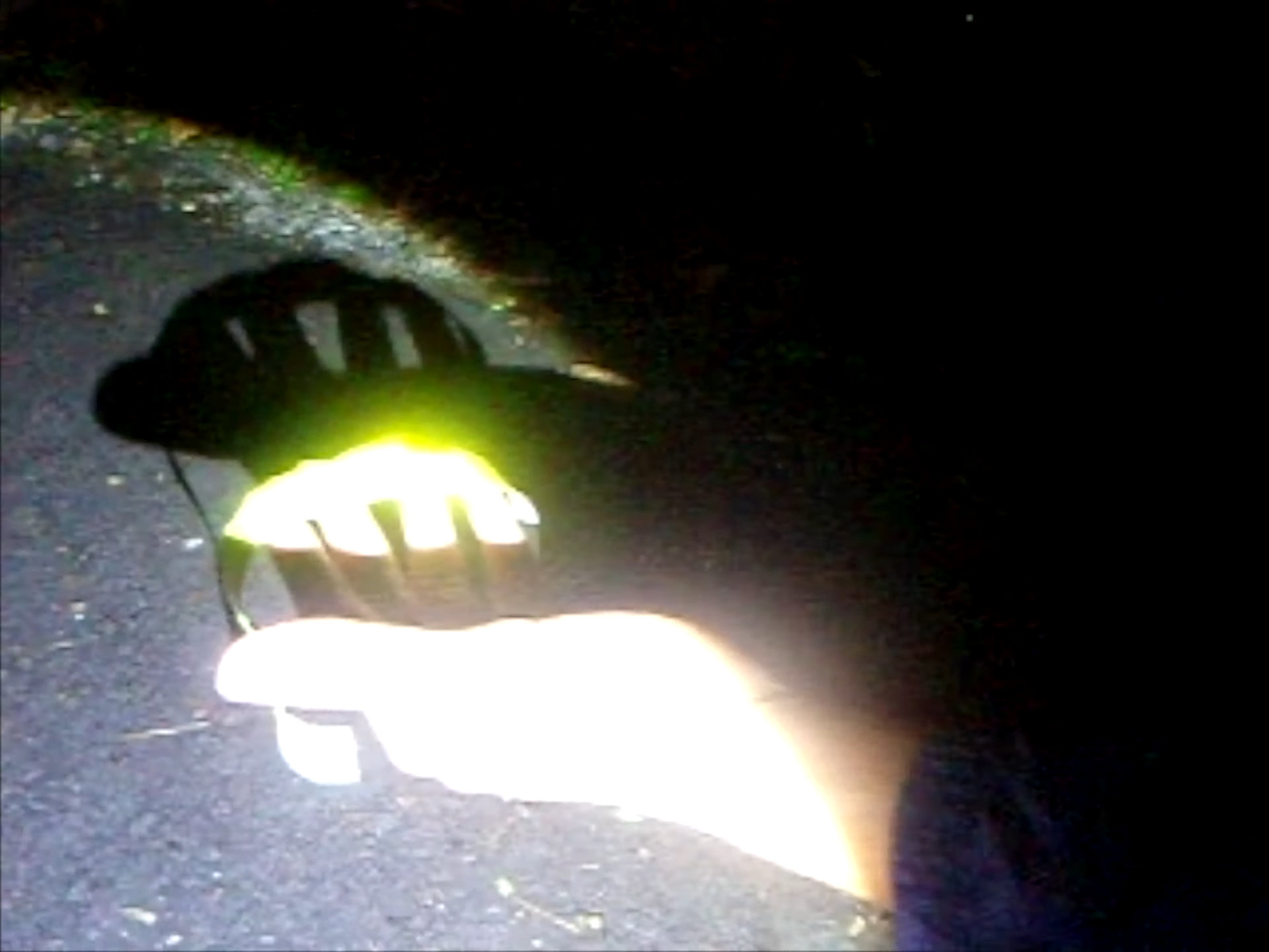 REFLECTIVE 4